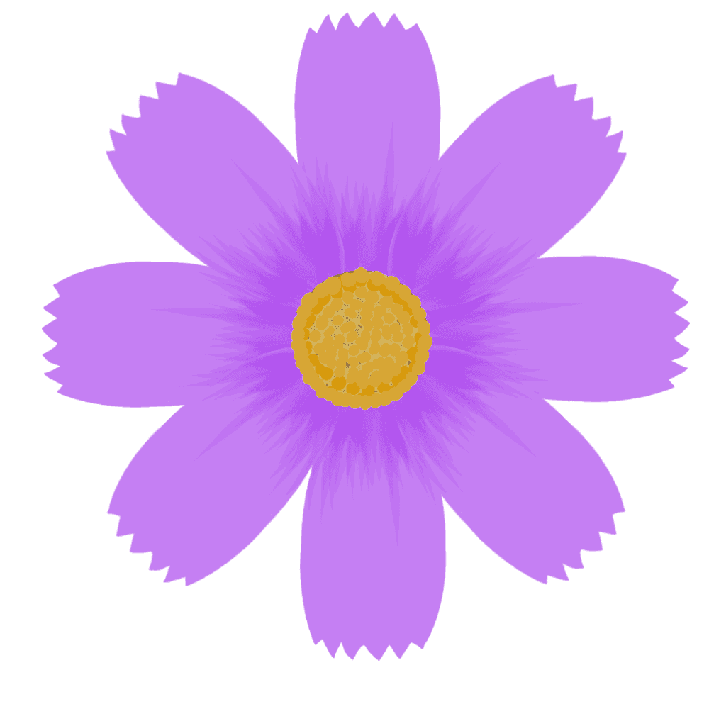 可愛い 花 画像詳細 4位