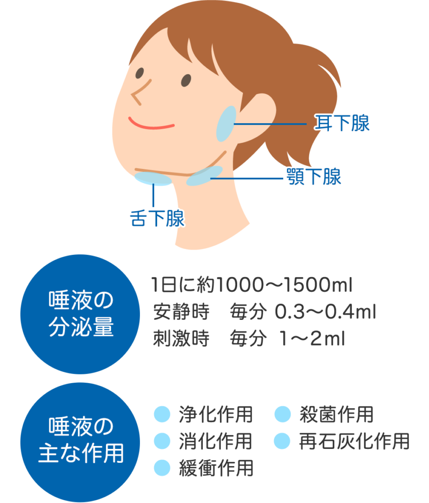 唾液 イラスト詳細 11位