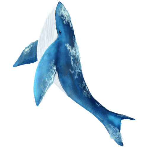 壁紙 クジラ詳細 3位