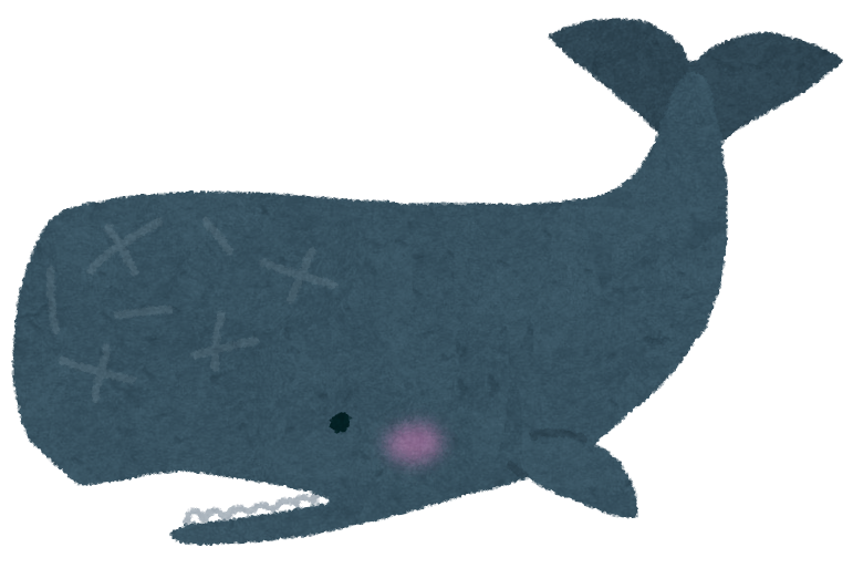 壁紙 クジラ詳細 6位