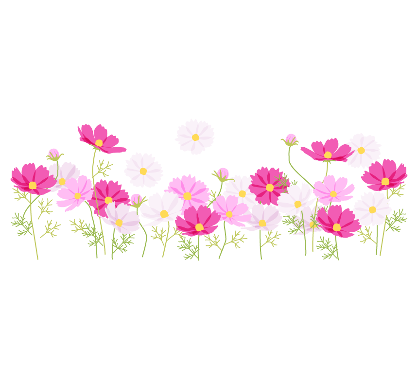 壁紙 秋 の 花詳細 11位