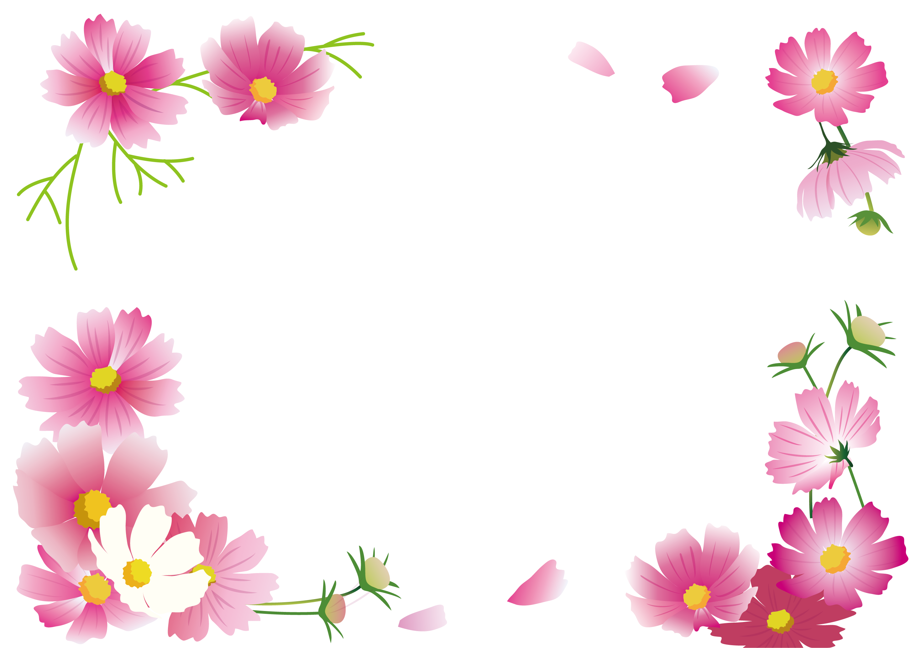 壁紙 秋 の 花詳細 3位