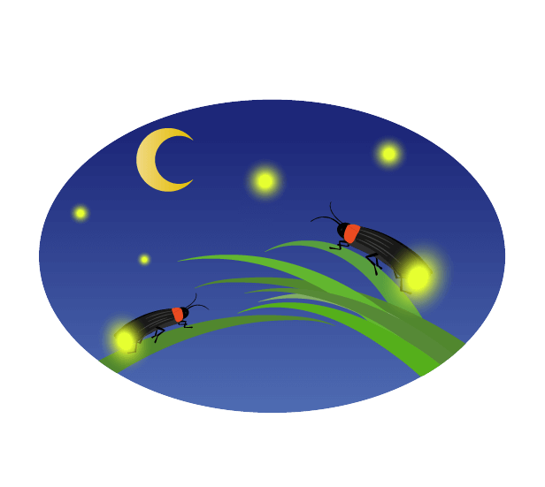 夏 の 夜空 イラスト詳細 5位