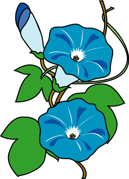夏 の 花 画像 無料 - KibrisPDR