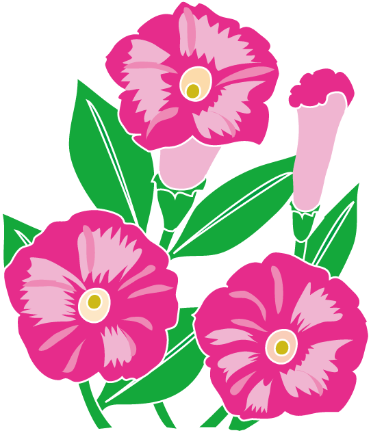 夏 の 花 画像 無料詳細 5位