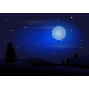 夜景 フリー 素材詳細 11位