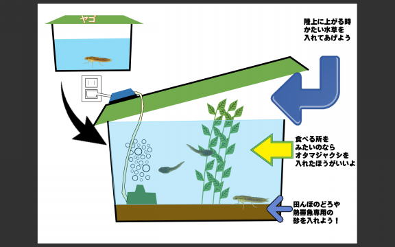 大地 イラスト詳細 9位