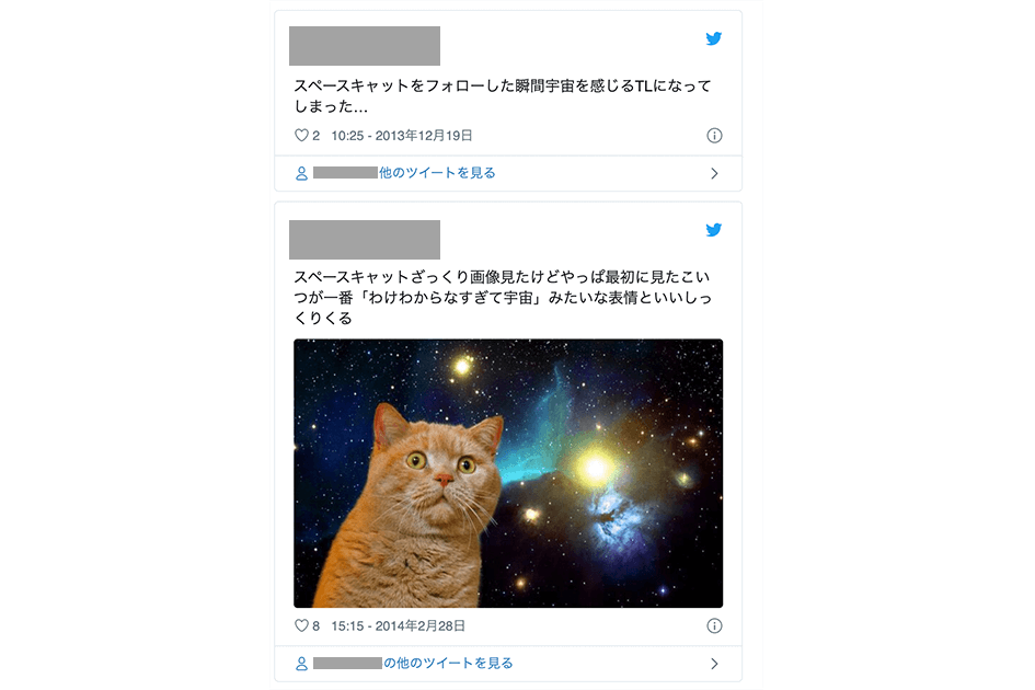 宇宙 猫 フリー 素材詳細 10位