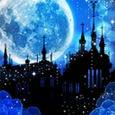 幻想 的 夜空詳細 7位