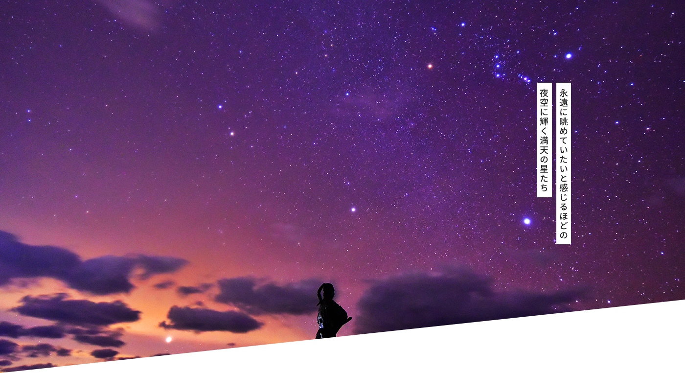 幻想 的 夜空詳細 10位