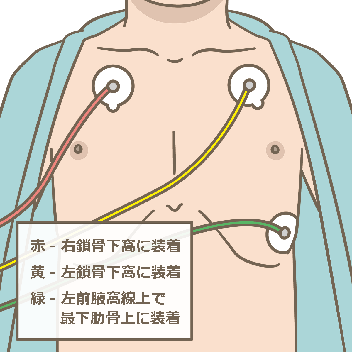 心電図 フリー 素材詳細 8位