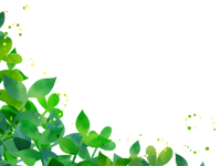 新緑 画像詳細 13位